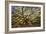 USA, South Carolina, Charleston, Angel Oak-Hollice Looney-Framed Photographic Print