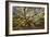 USA, South Carolina, Charleston, Angel Oak-Hollice Looney-Framed Photographic Print