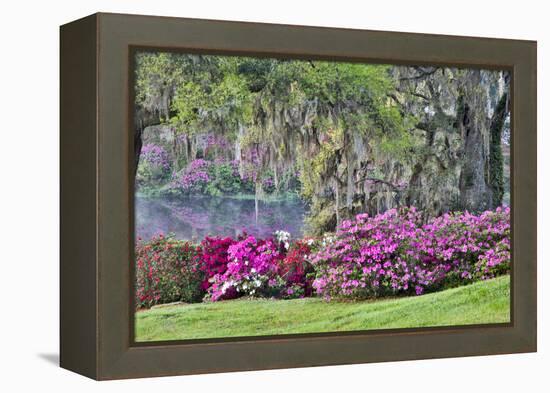USA, South Carolina, Charleston, Calm Among the Flowers-Hollice Looney-Framed Premier Image Canvas
