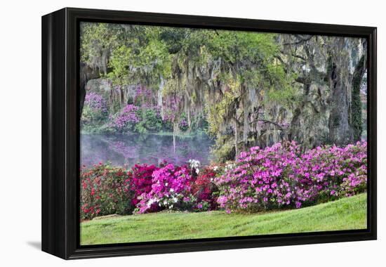 USA, South Carolina, Charleston, Calm Among the Flowers-Hollice Looney-Framed Premier Image Canvas