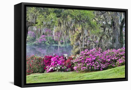 USA, South Carolina, Charleston, Calm Among the Flowers-Hollice Looney-Framed Premier Image Canvas