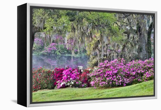 USA, South Carolina, Charleston, Calm Among the Flowers-Hollice Looney-Framed Premier Image Canvas