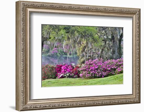 USA, South Carolina, Charleston, Calm Among the Flowers-Hollice Looney-Framed Photographic Print