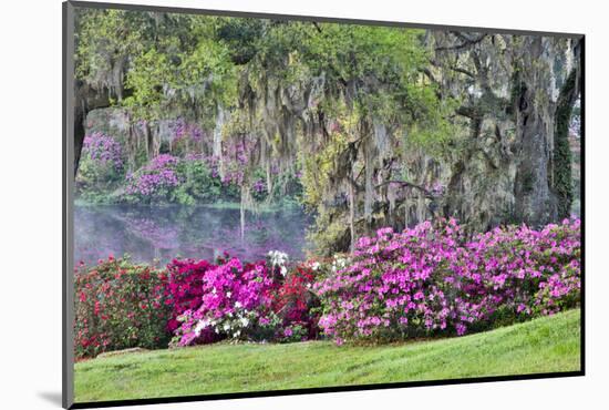 USA, South Carolina, Charleston, Calm Among the Flowers-Hollice Looney-Mounted Photographic Print