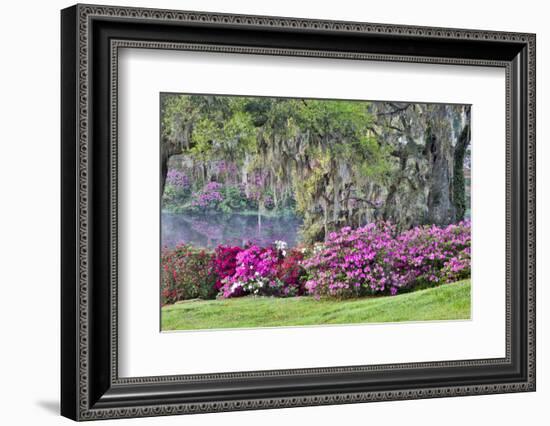 USA, South Carolina, Charleston, Calm Among the Flowers-Hollice Looney-Framed Photographic Print