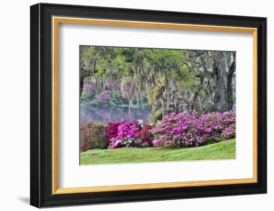 USA, South Carolina, Charleston, Calm Among the Flowers-Hollice Looney-Framed Photographic Print