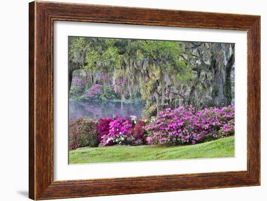 USA, South Carolina, Charleston, Calm Among the Flowers-Hollice Looney-Framed Photographic Print