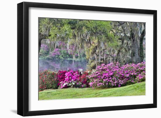 USA, South Carolina, Charleston, Calm Among the Flowers-Hollice Looney-Framed Photographic Print