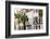 USA, South Carolina, Charleston, Colourful buildings in the historical centre-Jordan Banks-Framed Photographic Print