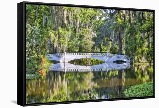 USA, South Carolina, Charleston. Magnolia Plantation-Hollice Looney-Framed Premier Image Canvas