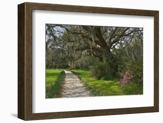 USA, South Carolina, Charleston. Stone pathway in Magnolia Plantation.-Jaynes Gallery-Framed Photographic Print