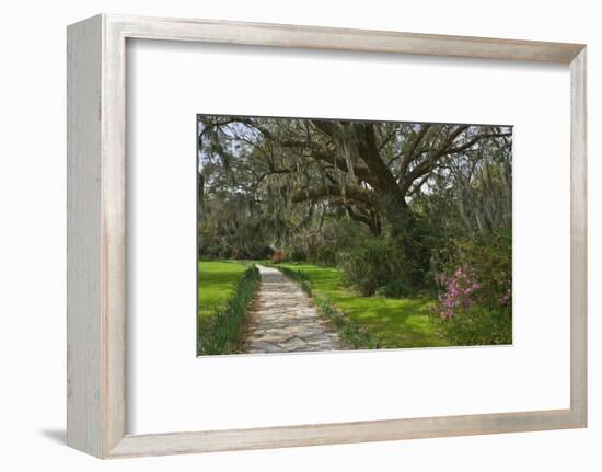 USA, South Carolina, Charleston. Stone pathway in Magnolia Plantation.-Jaynes Gallery-Framed Photographic Print