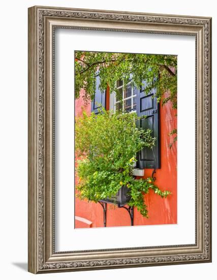 Usa, South Carolina, Charleston-Hollice Looney-Framed Photographic Print