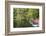 USA, South Carolina, Cypress Gardens. Boat Rental Dock in Swamp-Don Paulson-Framed Photographic Print