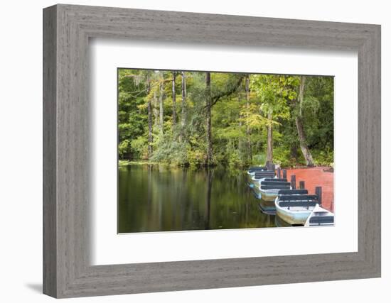 USA, South Carolina, Cypress Gardens. Boat Rental Dock in Swamp-Don Paulson-Framed Photographic Print