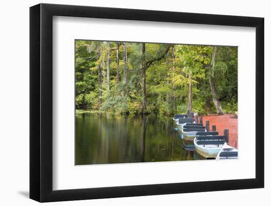 USA, South Carolina, Cypress Gardens. Boat Rental Dock in Swamp-Don Paulson-Framed Photographic Print