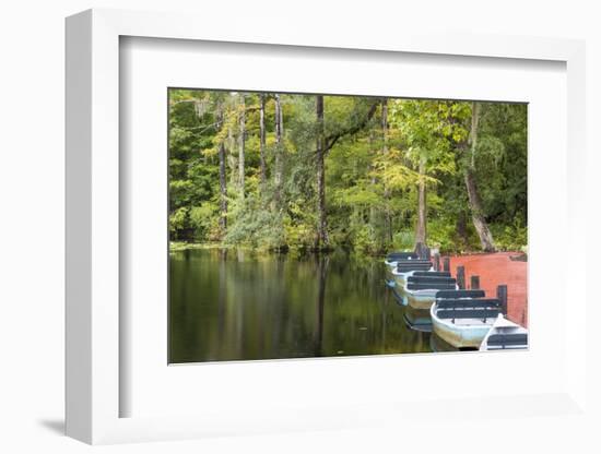 USA, South Carolina, Cypress Gardens. Boat Rental Dock in Swamp-Don Paulson-Framed Photographic Print