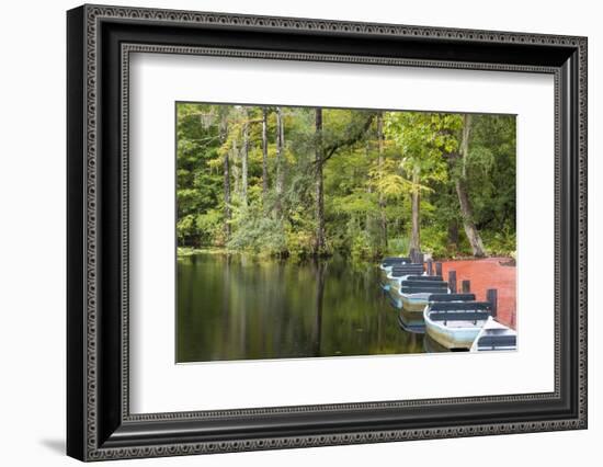 USA, South Carolina, Cypress Gardens. Boat Rental Dock in Swamp-Don Paulson-Framed Photographic Print