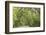 USA, South Carolina, Edisto Beach State Park. Oak Trees Line Road-Don Paulson-Framed Photographic Print