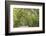 USA, South Carolina, Edisto Beach State Park. Oak Trees Line Road-Don Paulson-Framed Photographic Print