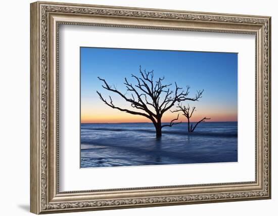 USA, South Carolina, Edisto Island, Botany Bay, Boneyard Beach Dawn.-Rob Tilley-Framed Photographic Print