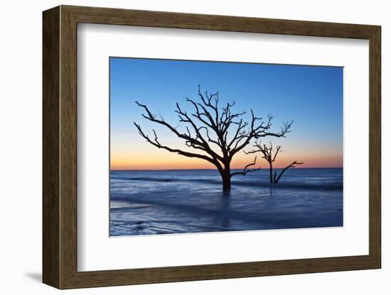 USA, South Carolina, Edisto Island, Botany Bay, Boneyard Beach Dawn.-Rob Tilley-Framed Photographic Print