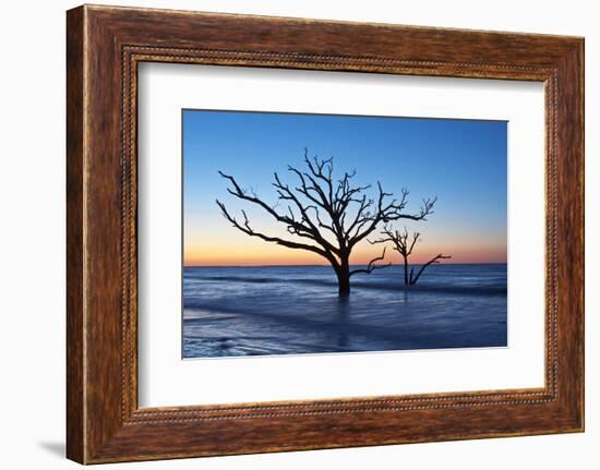 USA, South Carolina, Edisto Island, Botany Bay, Boneyard Beach Dawn.-Rob Tilley-Framed Photographic Print