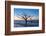 USA, South Carolina, Edisto Island, Botany Bay, Boneyard Beach Dawn.-Rob Tilley-Framed Photographic Print