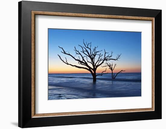 USA, South Carolina, Edisto Island, Botany Bay, Boneyard Beach Dawn.-Rob Tilley-Framed Photographic Print