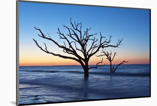 USA, South Carolina, Edisto Island, Botany Bay, Boneyard Beach Dawn.-Rob Tilley-Mounted Photographic Print