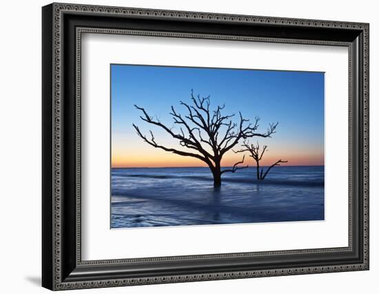 USA, South Carolina, Edisto Island, Botany Bay, Boneyard Beach Dawn.-Rob Tilley-Framed Photographic Print