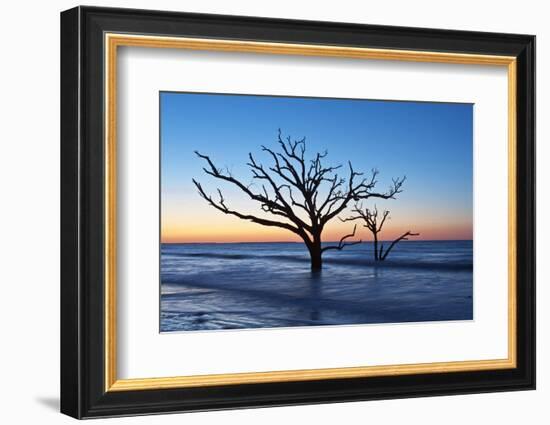 USA, South Carolina, Edisto Island, Botany Bay, Boneyard Beach Dawn.-Rob Tilley-Framed Photographic Print