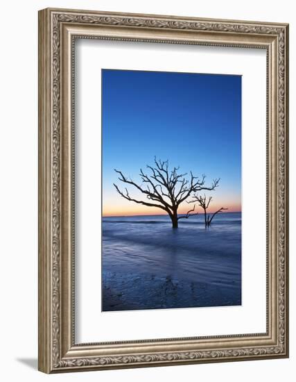 USA, South Carolina, Edisto Island, Botany Bay, Boneyard Beach Dawn.-Rob Tilley-Framed Photographic Print