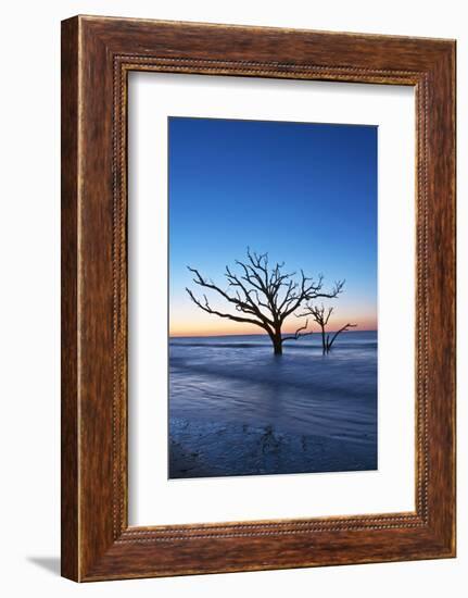 USA, South Carolina, Edisto Island, Botany Bay, Boneyard Beach Dawn.-Rob Tilley-Framed Photographic Print