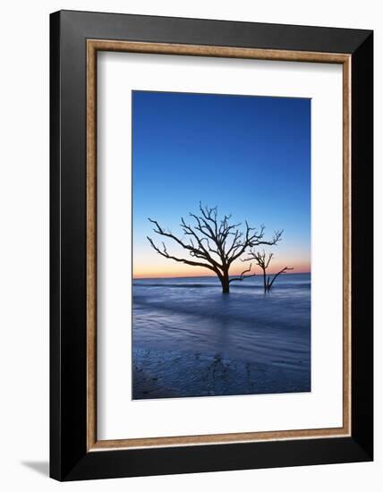 USA, South Carolina, Edisto Island, Botany Bay, Boneyard Beach Dawn.-Rob Tilley-Framed Photographic Print