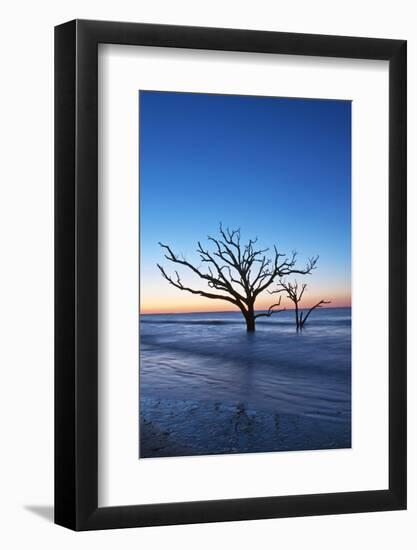 USA, South Carolina, Edisto Island, Botany Bay, Boneyard Beach Dawn.-Rob Tilley-Framed Photographic Print