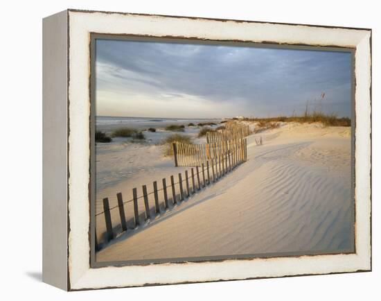 USA, South Carolina, Huntington Beach State Park-Zandria Muench Beraldo-Framed Premier Image Canvas
