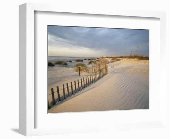 USA, South Carolina, Huntington Beach State Park-Zandria Muench Beraldo-Framed Photographic Print