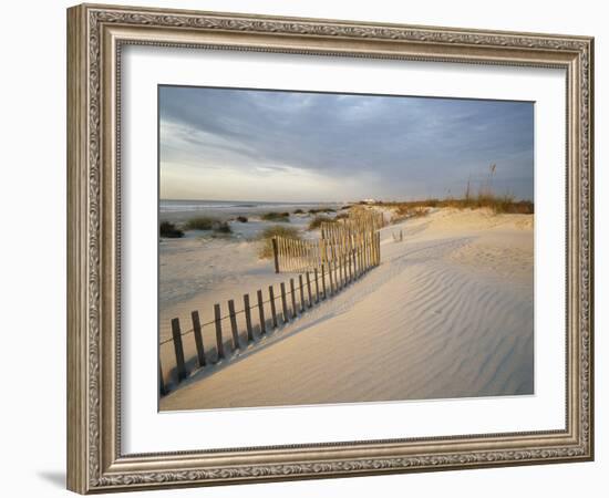 USA, South Carolina, Huntington Beach State Park-Zandria Muench Beraldo-Framed Photographic Print