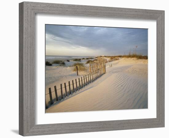 USA, South Carolina, Huntington Beach State Park-Zandria Muench Beraldo-Framed Photographic Print