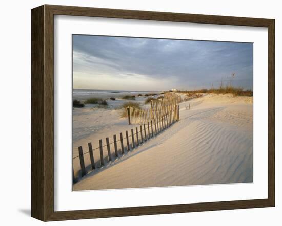 USA, South Carolina, Huntington Beach State Park-Zandria Muench Beraldo-Framed Photographic Print