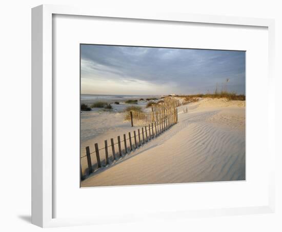 USA, South Carolina, Huntington Beach State Park-Zandria Muench Beraldo-Framed Photographic Print