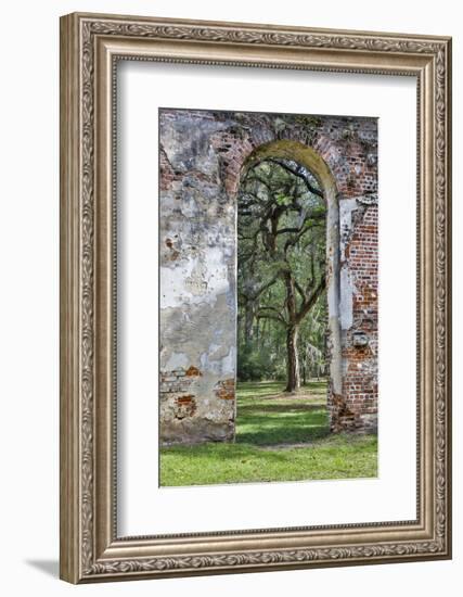 USA, South Carolina, Yemassee, Old Sheldon Church Ruins-Hollice Looney-Framed Photographic Print