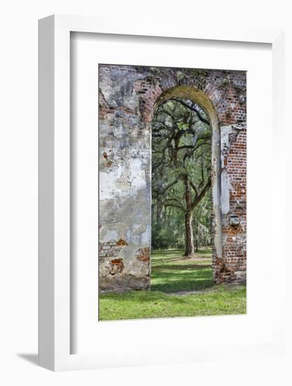 USA, South Carolina, Yemassee, Old Sheldon Church Ruins-Hollice Looney-Framed Photographic Print