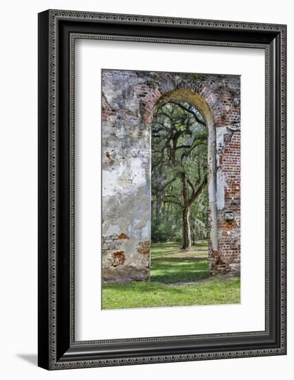 USA, South Carolina, Yemassee, Old Sheldon Church Ruins-Hollice Looney-Framed Photographic Print