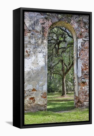 USA, South Carolina, Yemassee, Old Sheldon Church Ruins-Hollice Looney-Framed Premier Image Canvas