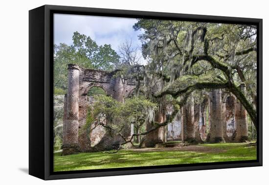 USA, South Carolina, Yemassee, Old Sheldon Church Ruins-Hollice Looney-Framed Premier Image Canvas