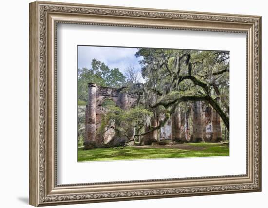 USA, South Carolina, Yemassee, Old Sheldon Church Ruins-Hollice Looney-Framed Photographic Print