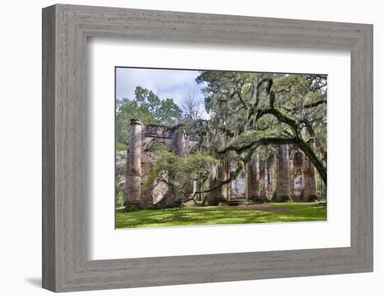 USA, South Carolina, Yemassee, Old Sheldon Church Ruins-Hollice Looney-Framed Photographic Print