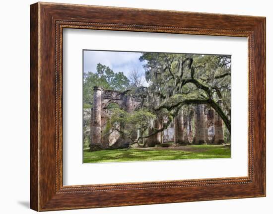 USA, South Carolina, Yemassee, Old Sheldon Church Ruins-Hollice Looney-Framed Photographic Print